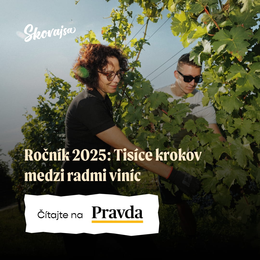 Pravda – Ročník 2025: tisíce krokov medzi radmi viníc